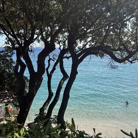펜션 Charmante Vue Calme Au Lavandou - Fr-1-308-145