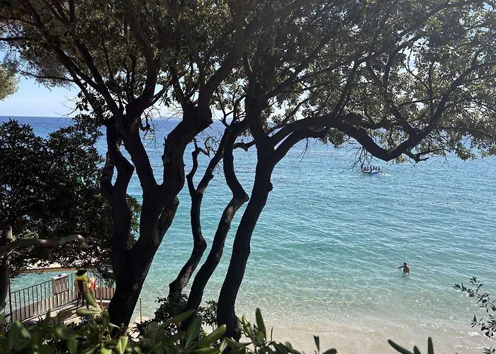 Tatil Evi Charmante Vue Calme Au Lavandou - Fr-1-308-145