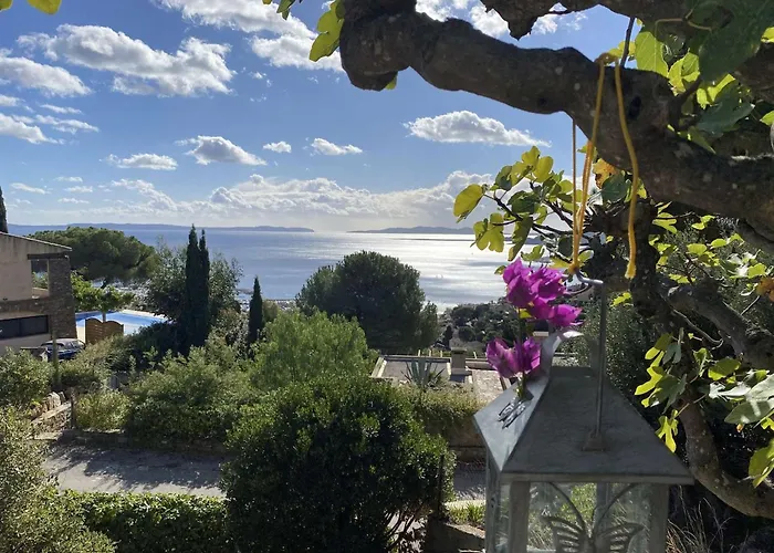 Charmante Vue Calme Au Lavandou - Fr-1-308-145 Tatil Evi